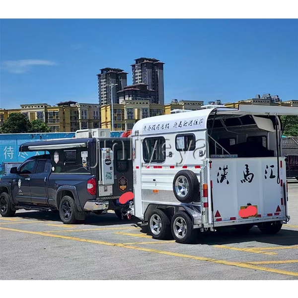 南宁两马位马车